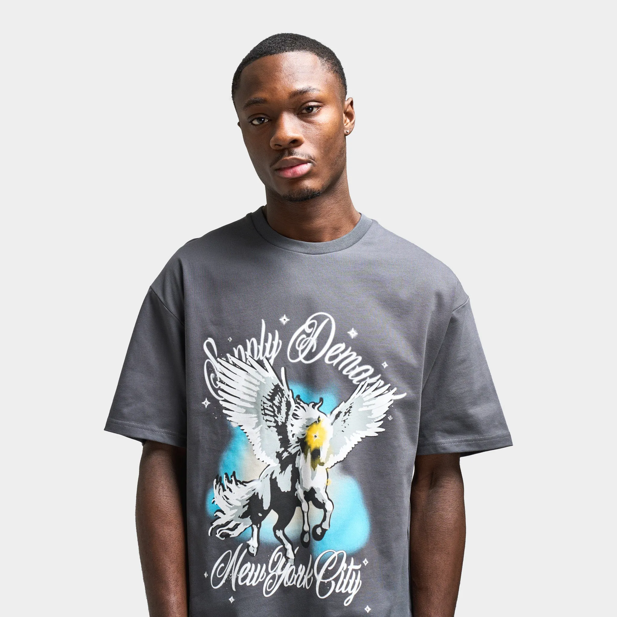 Supply & Demand Pegasus Graphic T-Shirt / Irongate sold by JD Sports product image thumbnail 4