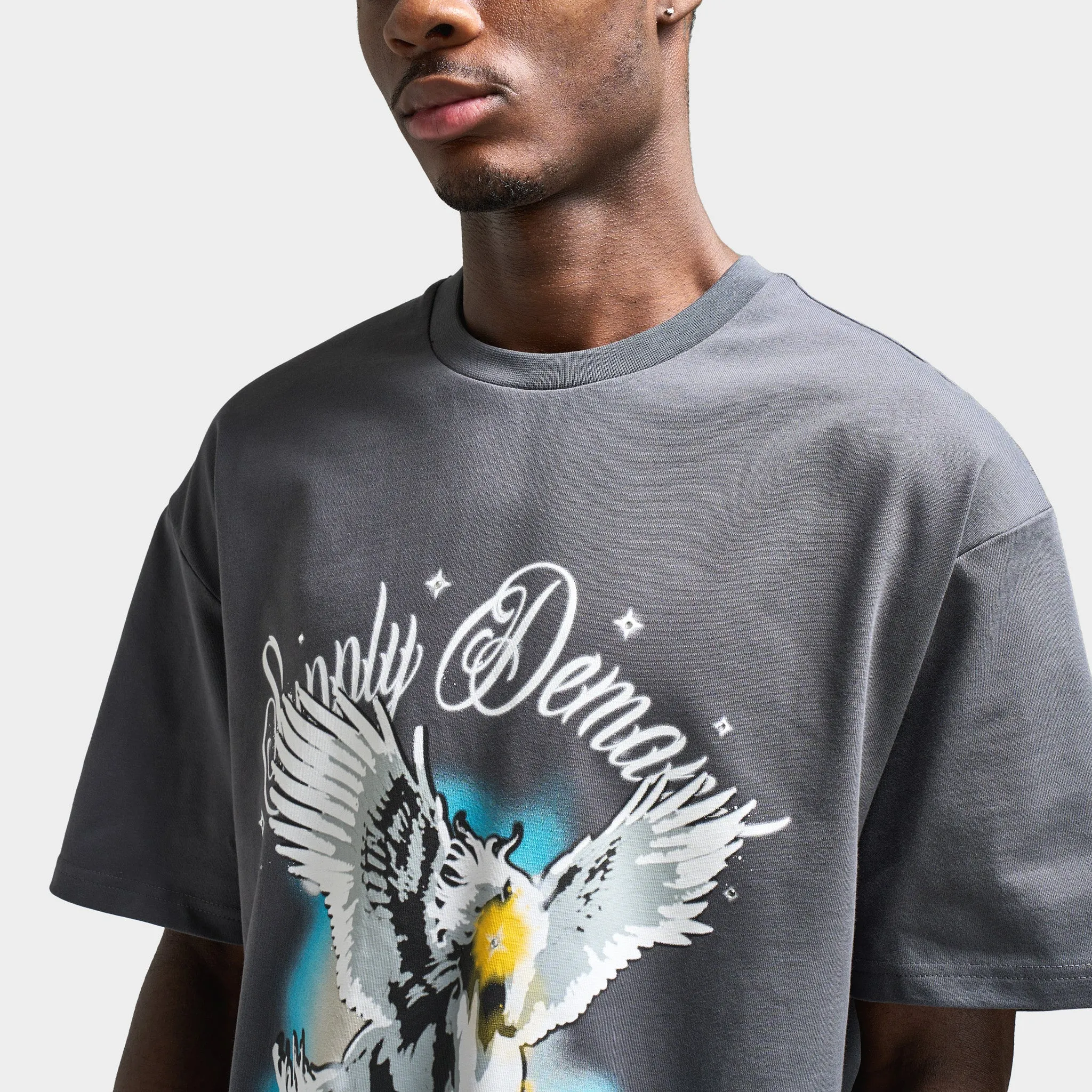 Supply & Demand Pegasus Graphic T-Shirt / Irongate sold by JD Sports product image thumbnail 3