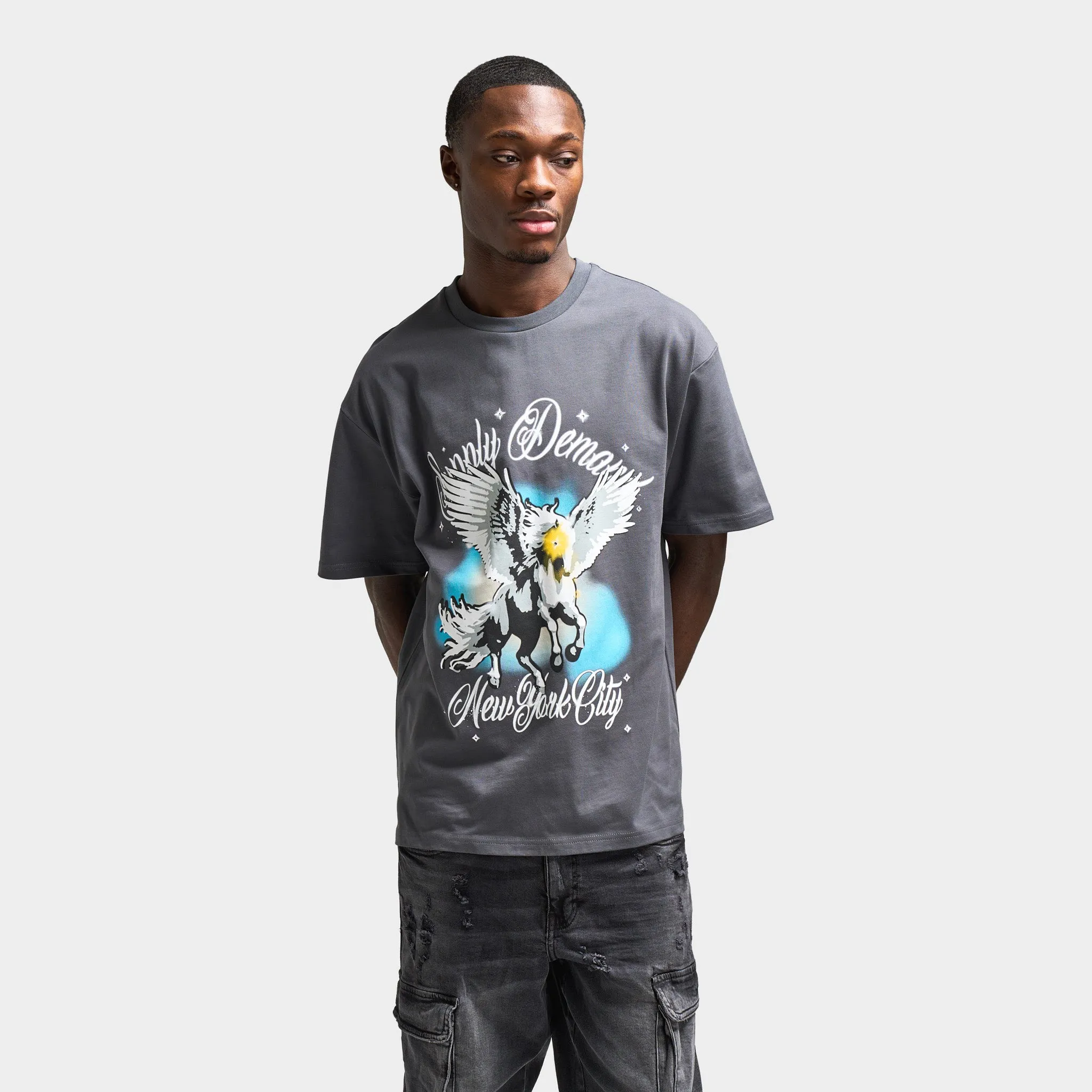 Supply & Demand Pegasus Graphic T-Shirt / Irongate sold by JD Sports