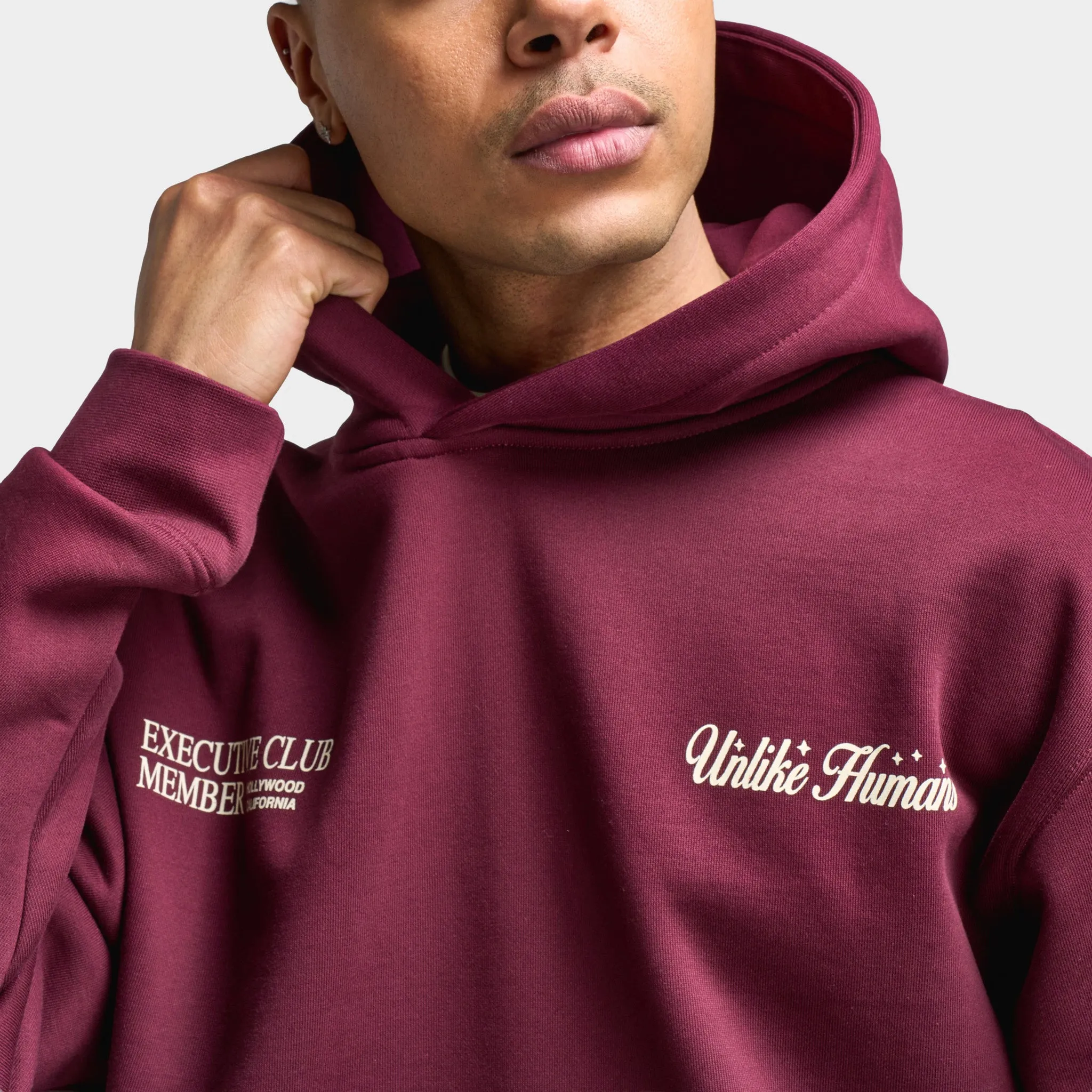 Unlike Humans Fremont Pullover Hoodie / Windsor Wine sold by JD Sports product image thumbnail 3