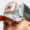 Goorin Bros. Spooked Trucker Hat / Camo sold by JD Sports