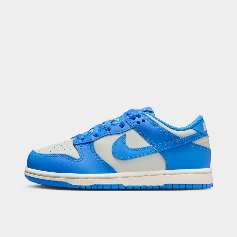 Nike Dunk Low PS Light Silver / Light Photo Blue - Sail sold by JD Sports
