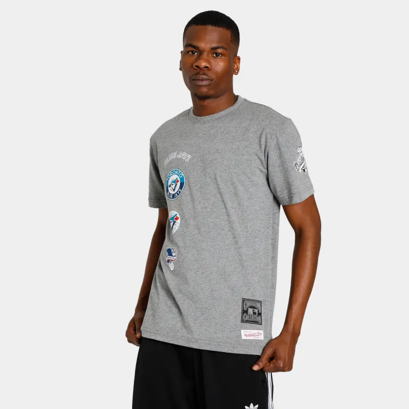 Mitchell & Ness Blue Jays City Collection T-shirt / Grey sold by JD Sports