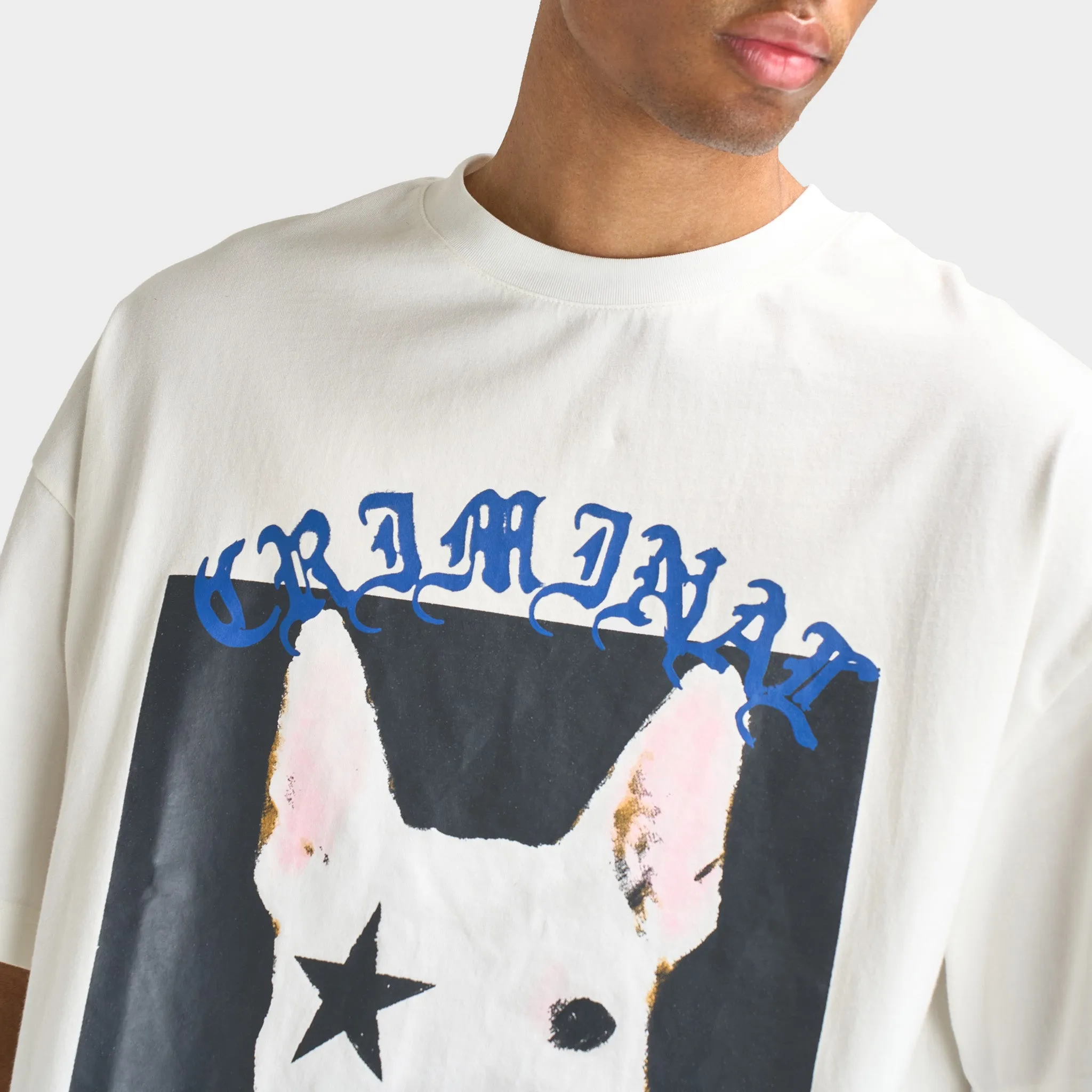 Criminal Damage Star Dog T-Shirt / Off-White sold by JD Sports product image thumbnail 4