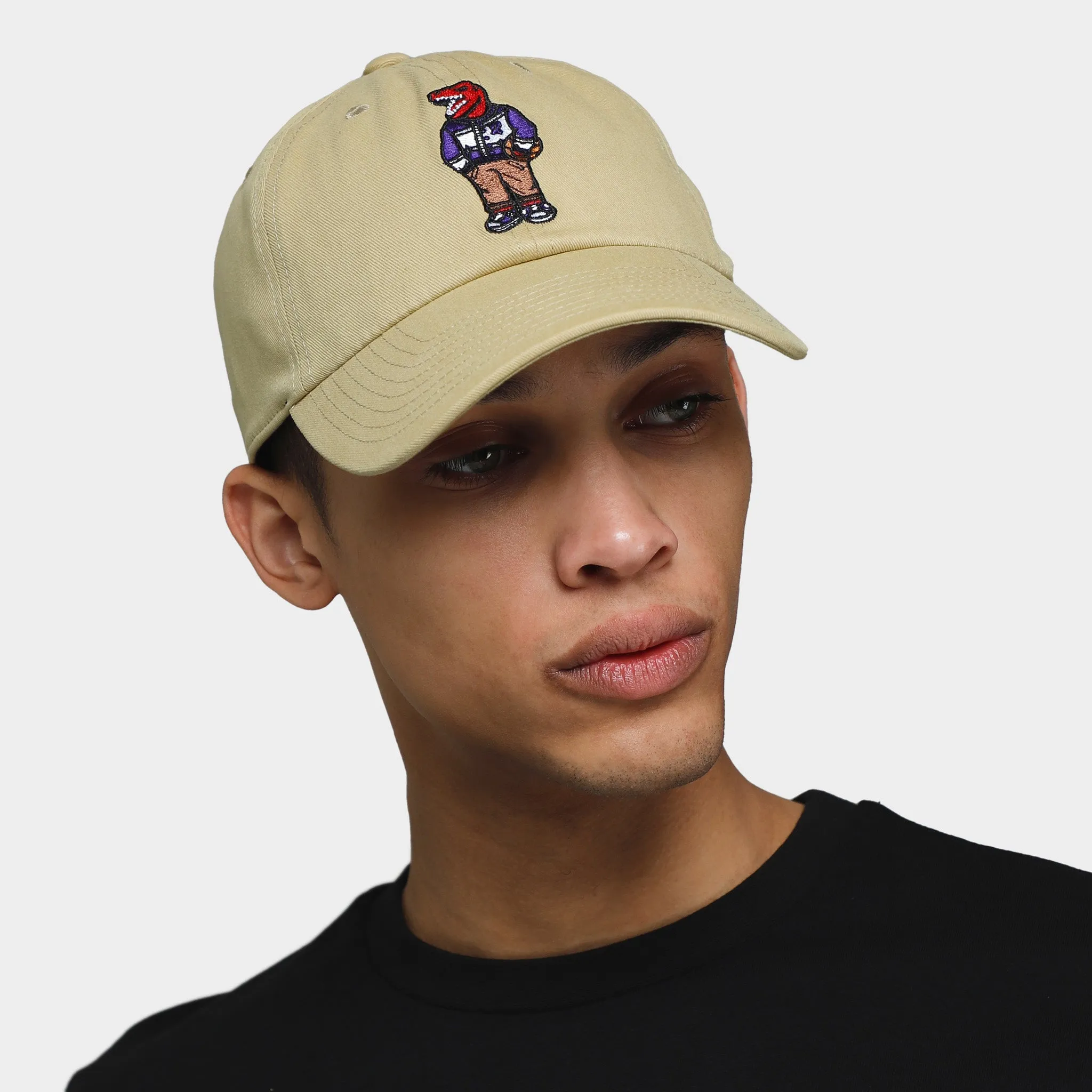 Mitchell and Ness Toronto Raptors Dad Cap / Khaki sold by JD Sports