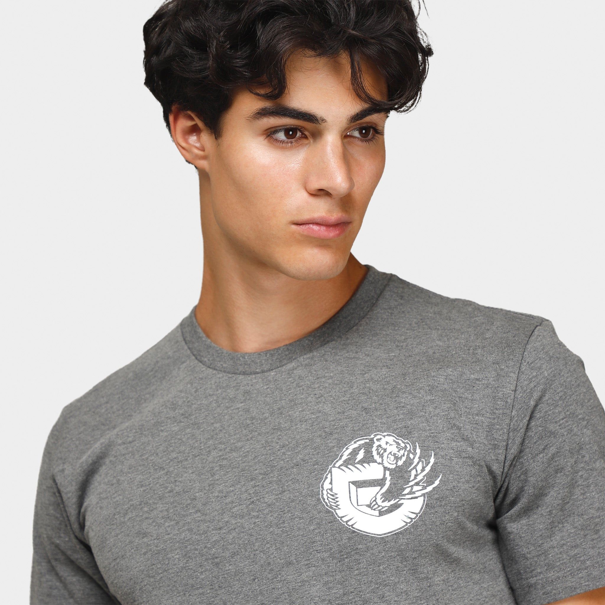 Mitchell & Ness Vancouver Grizzlies Bandana T-shirt / Grey sold by JD Sports product image thumbnail 3