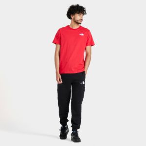 The North Face Back Hit Graphic T-shirt / TNF Red sold by JD Sports