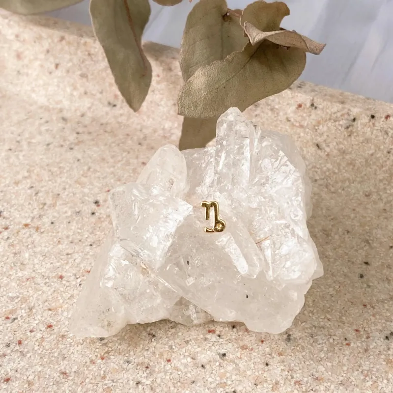 Boucles D'oreilles Astro Capricorne sold by Boutique Elena