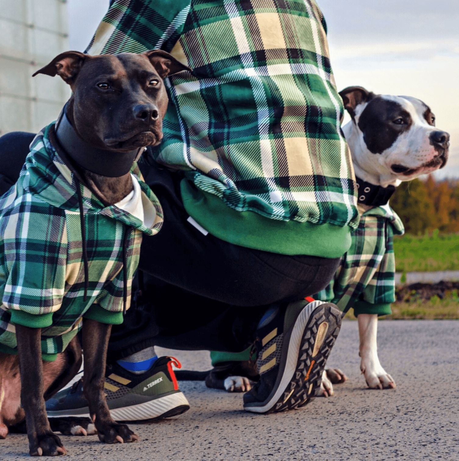 Green Plaid Human Hoodie sold by Spark Paws product image thumbnail 5