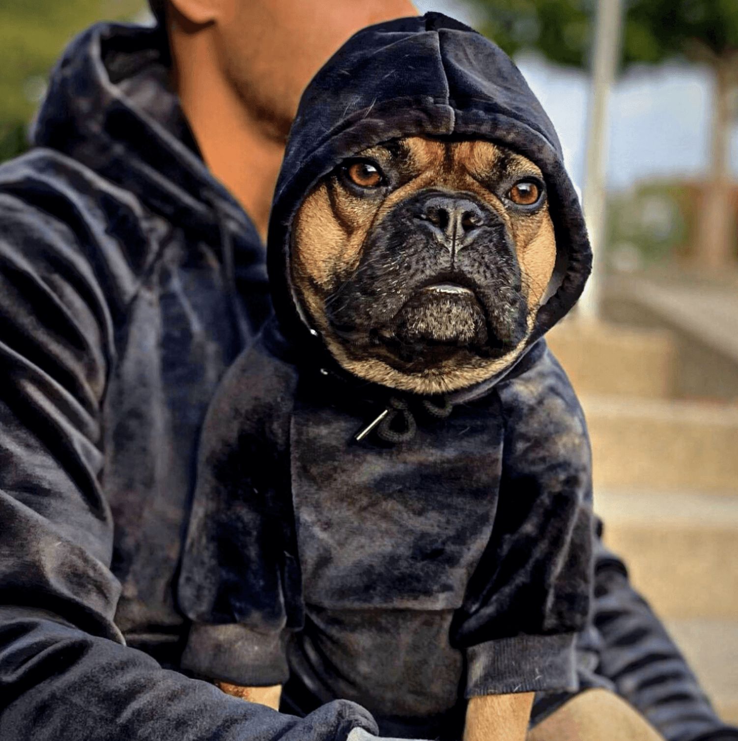 Velvet Human Hoodie - Obsidian Black sold by Spark Paws product image thumbnail 2