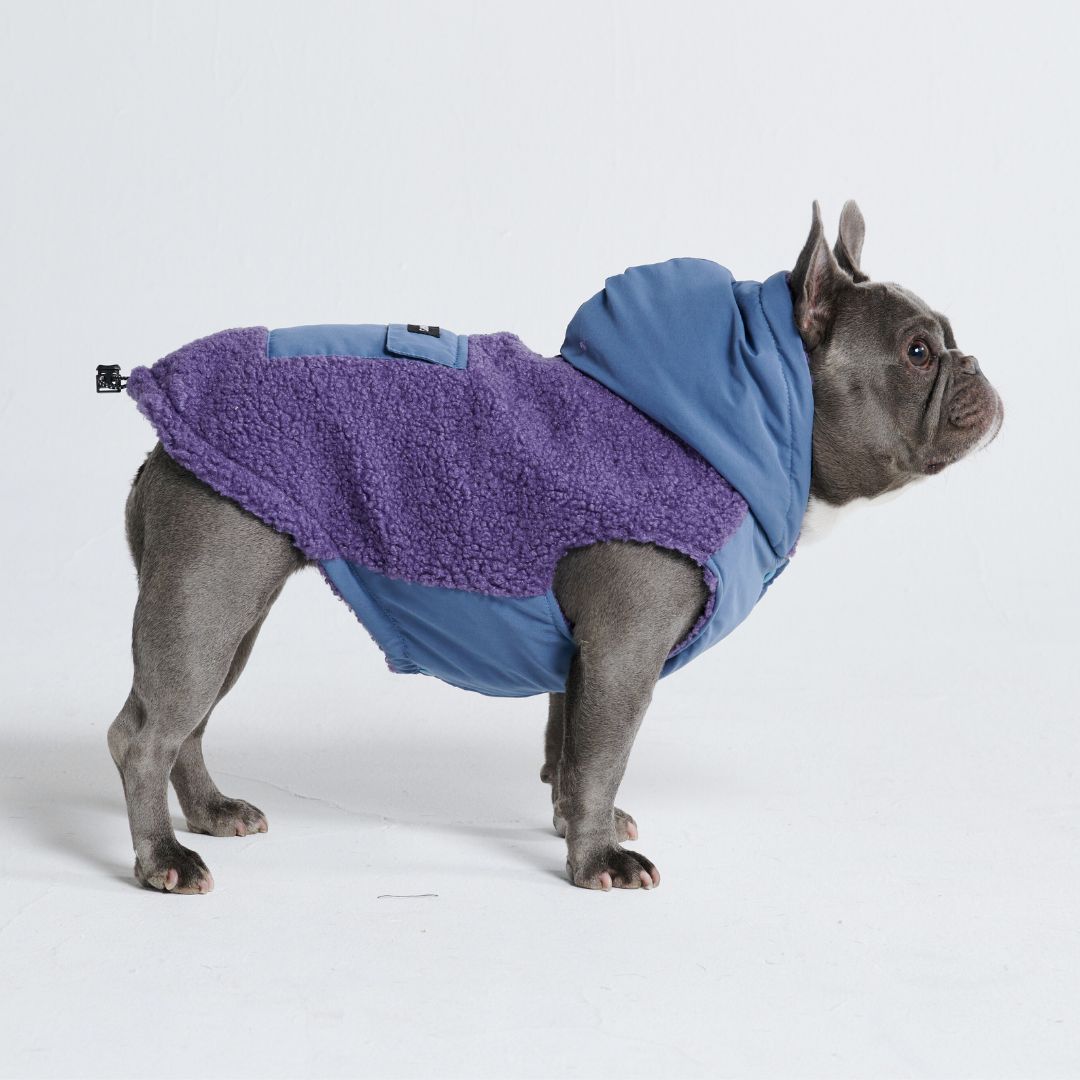 Reversible Jacket - Purple and Blue sold by Spark Paws