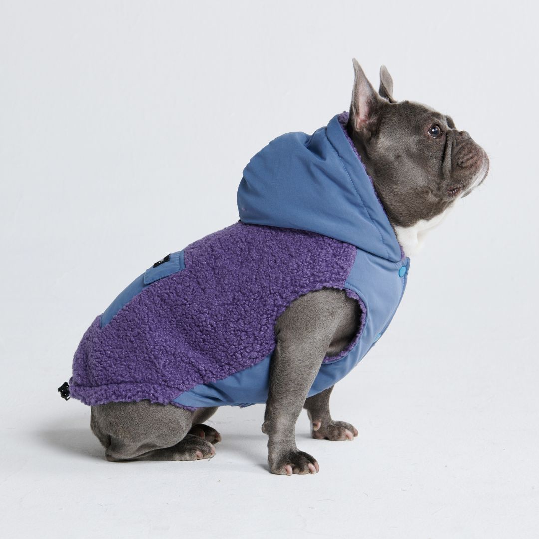 Reversible Jacket - Purple and Blue sold by Spark Paws product image thumbnail 5