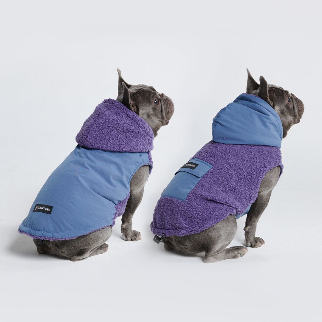 Reversible Jacket - Purple and Blue sold by Spark Paws product image thumbnail 3