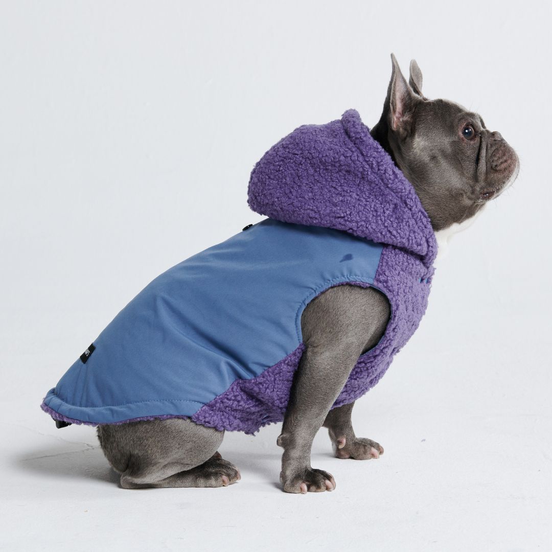 Reversible Jacket - Purple and Blue sold by Spark Paws product image thumbnail 4