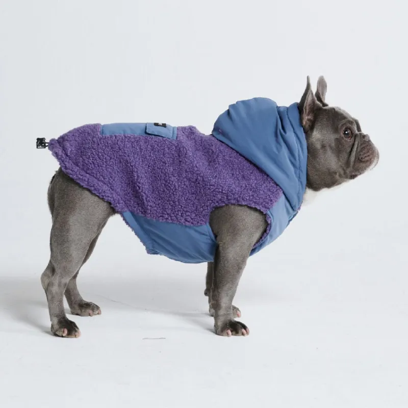 Reversible Jacket - Purple and Blue made by Spark Paws