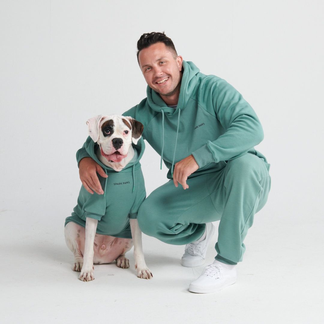 Essential Human Hoodie - Teal sold by Spark Paws