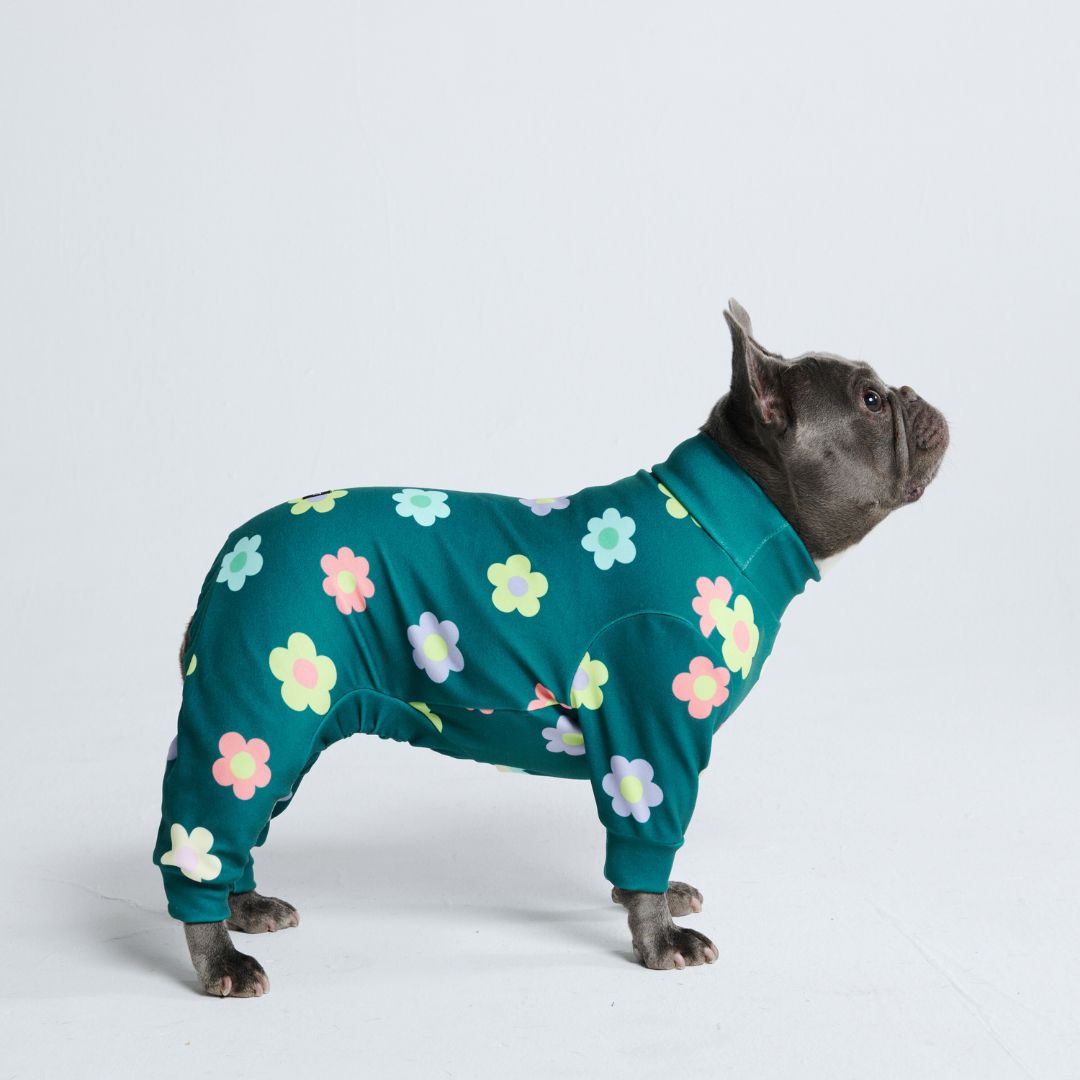 Dog Pajama - Flower Green sold by Spark Paws
