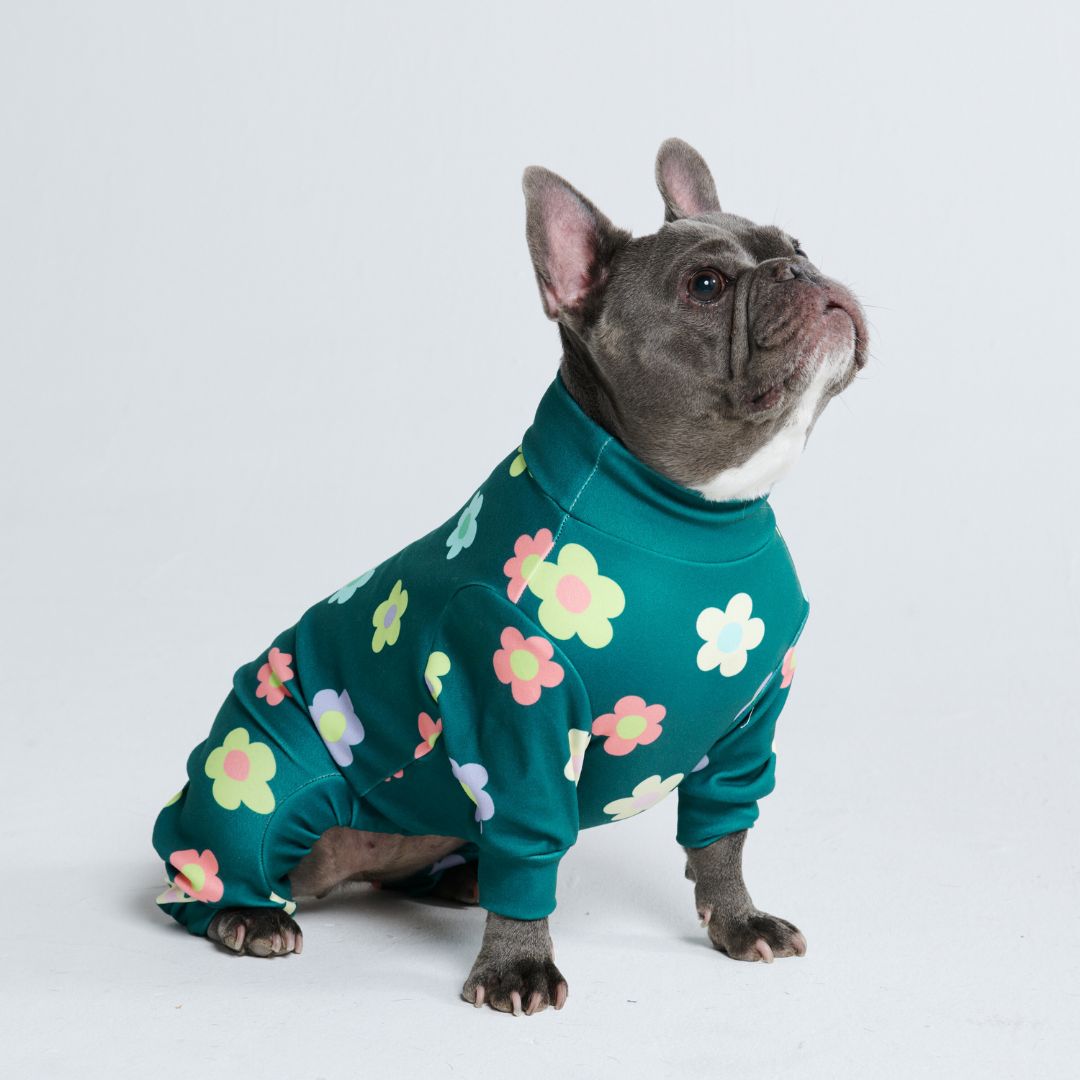 Dog Pajama - Flower Green sold by Spark Paws product image thumbnail 3