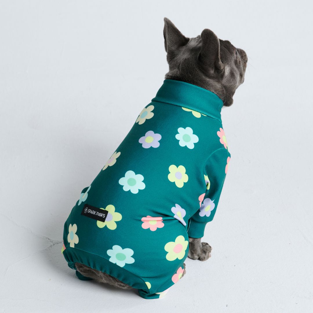 Dog Pajama - Flower Green sold by Spark Paws product image thumbnail 2