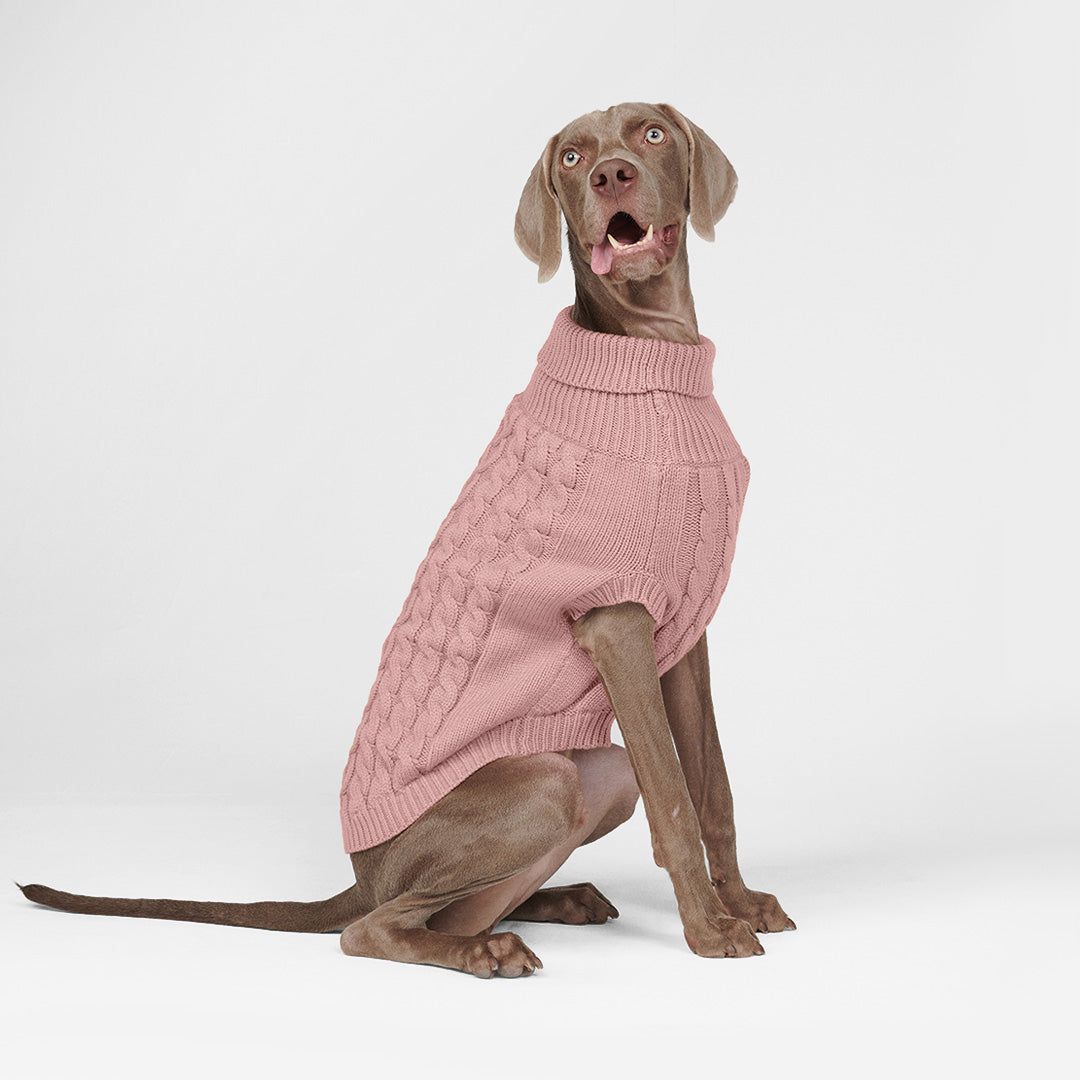 Cable Knit Dog Sweater - Pink sold by Spark Paws product image thumbnail 4