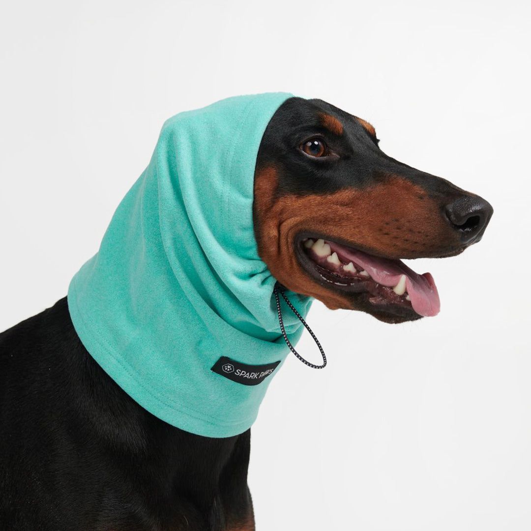 Anxiety Calming Dog Earmuff Protector - Turquoise sold by Spark Paws