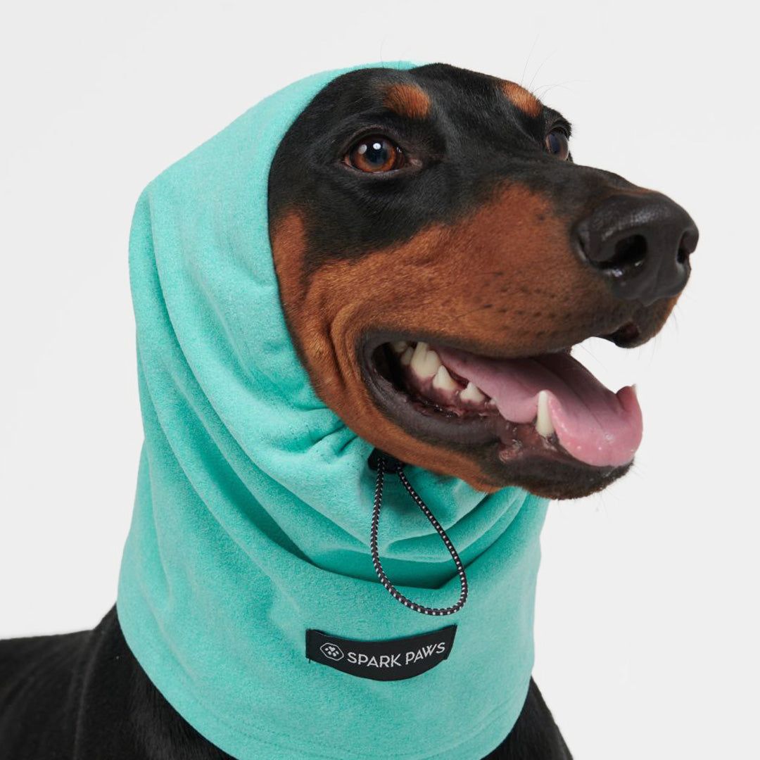 Anxiety Calming Dog Earmuff Protector - Turquoise sold by Spark Paws product image thumbnail 3