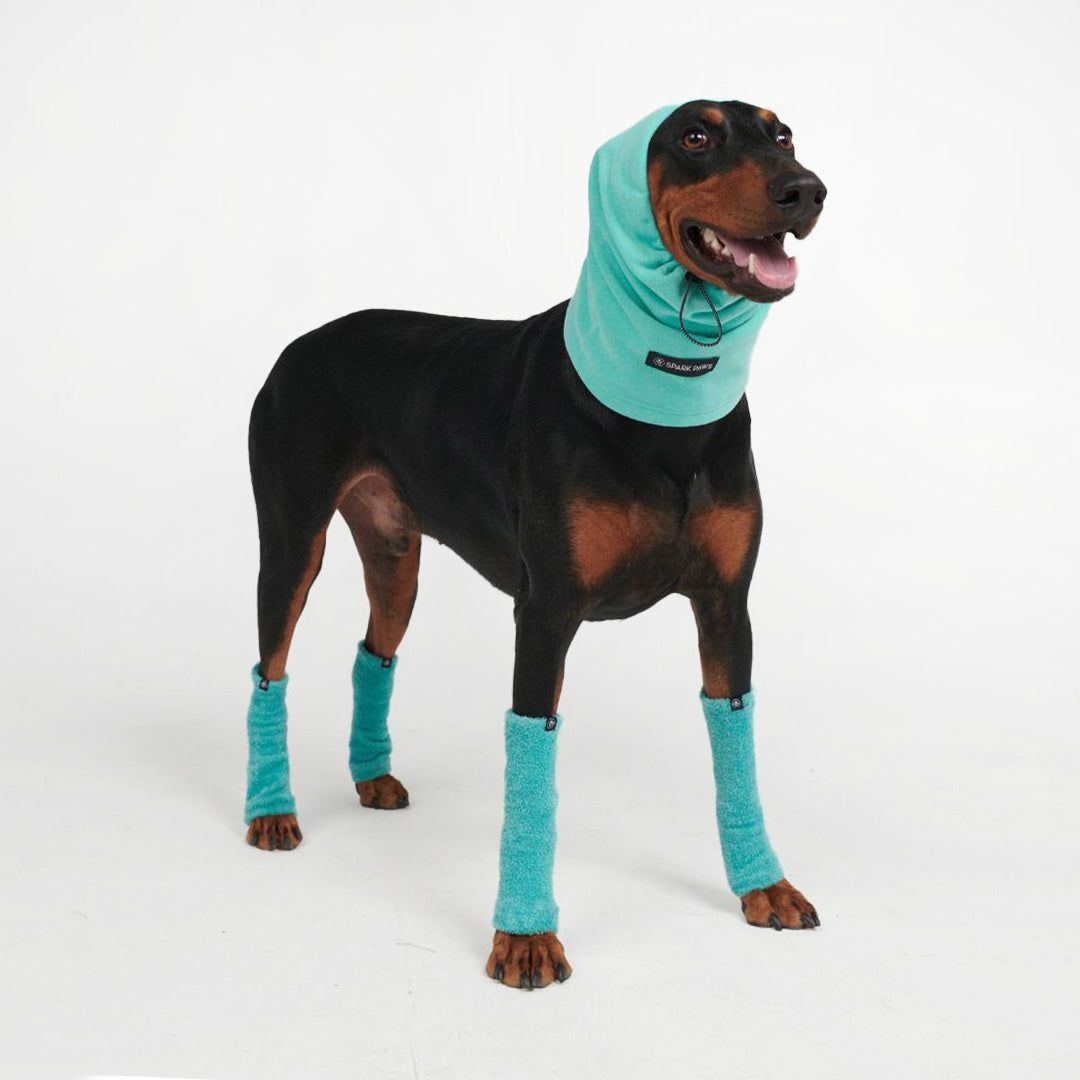 Anxiety Calming Dog Earmuff Protector - Turquoise sold by Spark Paws product image thumbnail 2