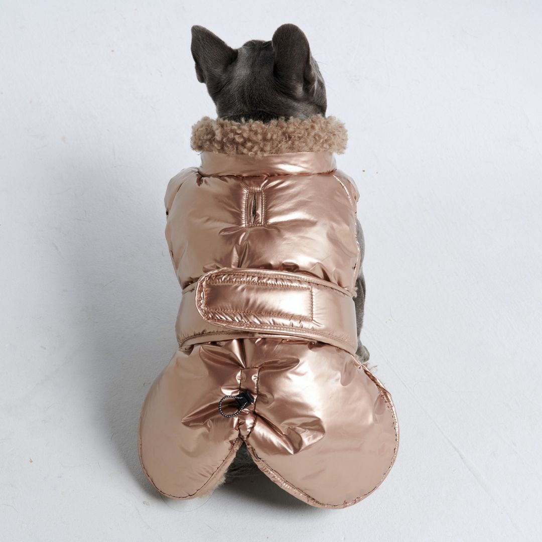 Slip-on Winter Jacket - Metallic Gold sold by Spark Paws product image thumbnail 4