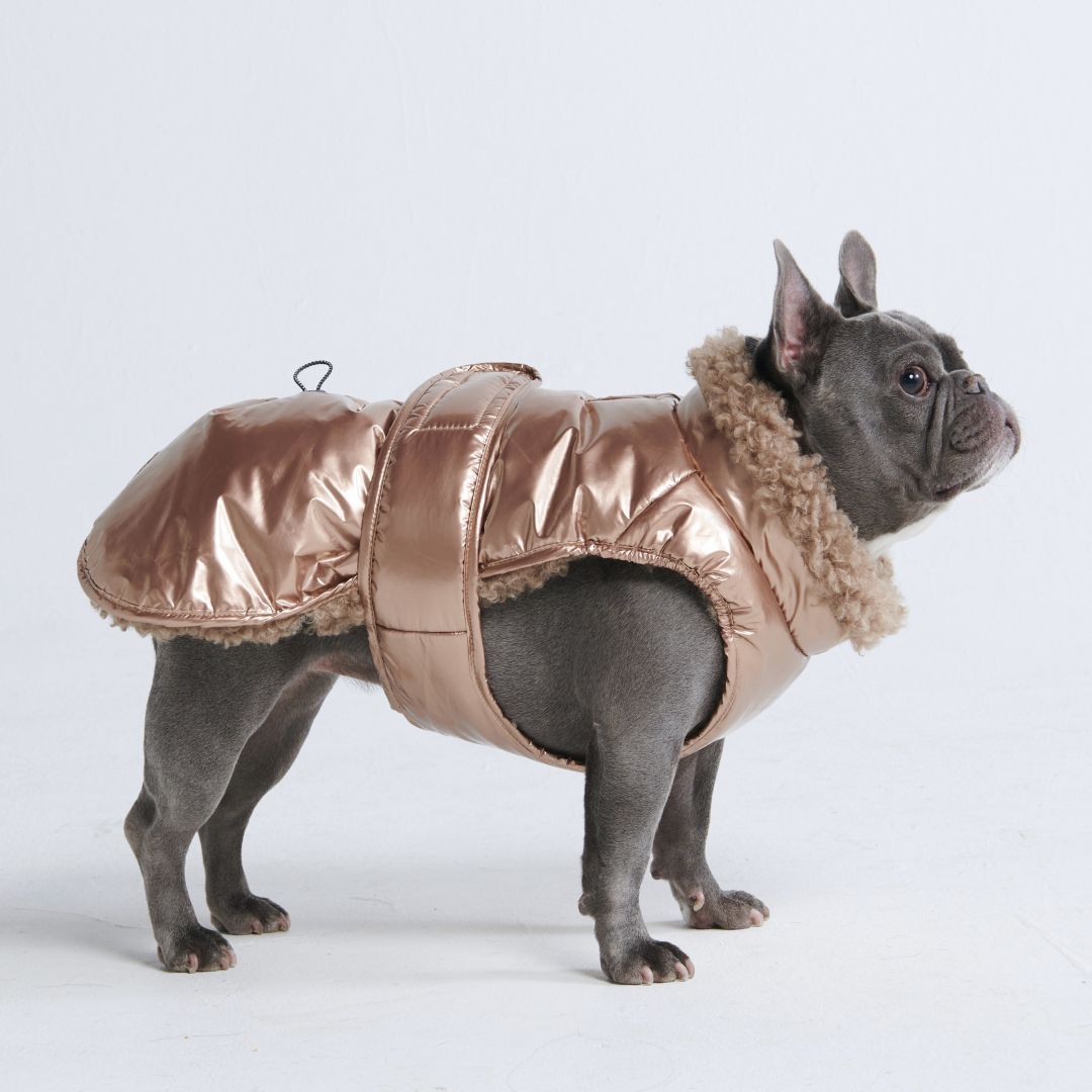 Slip-on Winter Jacket - Metallic Gold sold by Spark Paws