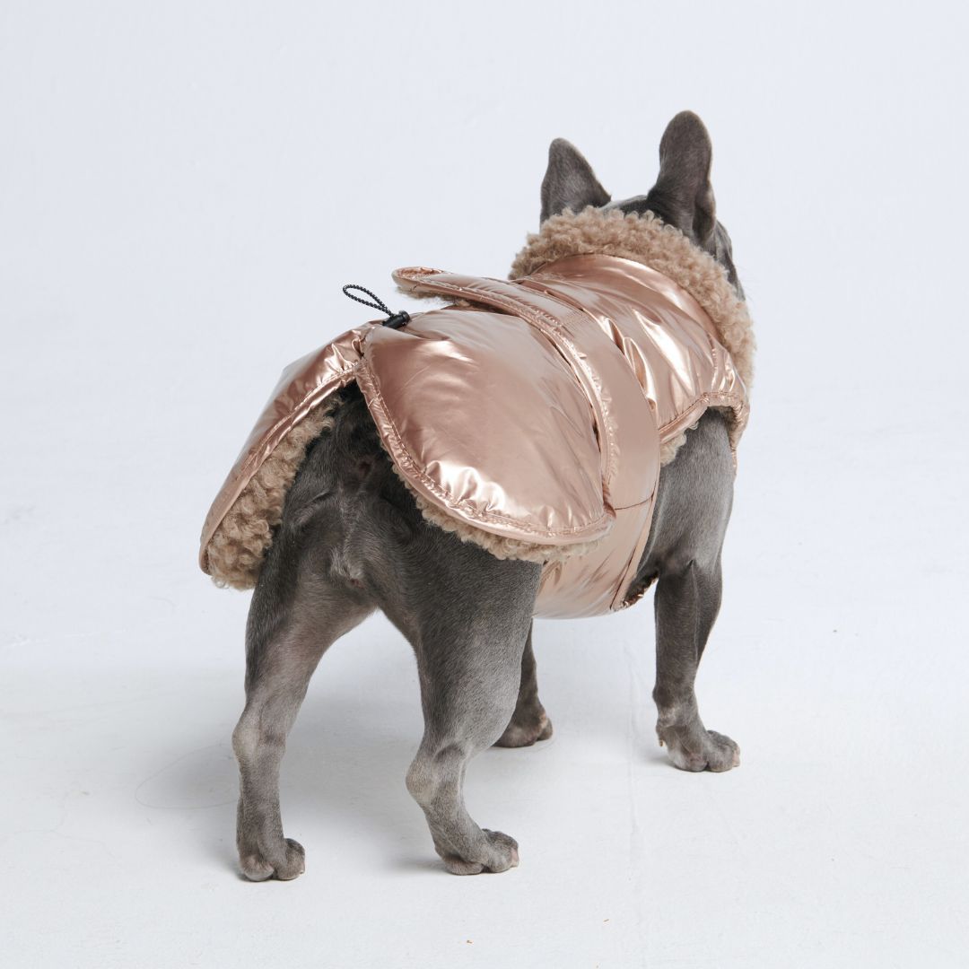 Slip-on Winter Jacket - Metallic Gold sold by Spark Paws product image thumbnail 3