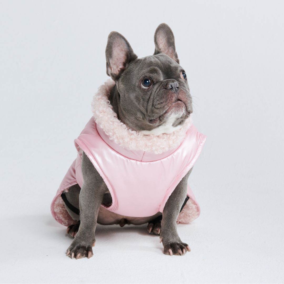 Slip-on Winter Jacket - Metallic Pink sold by Spark Paws product image thumbnail 5