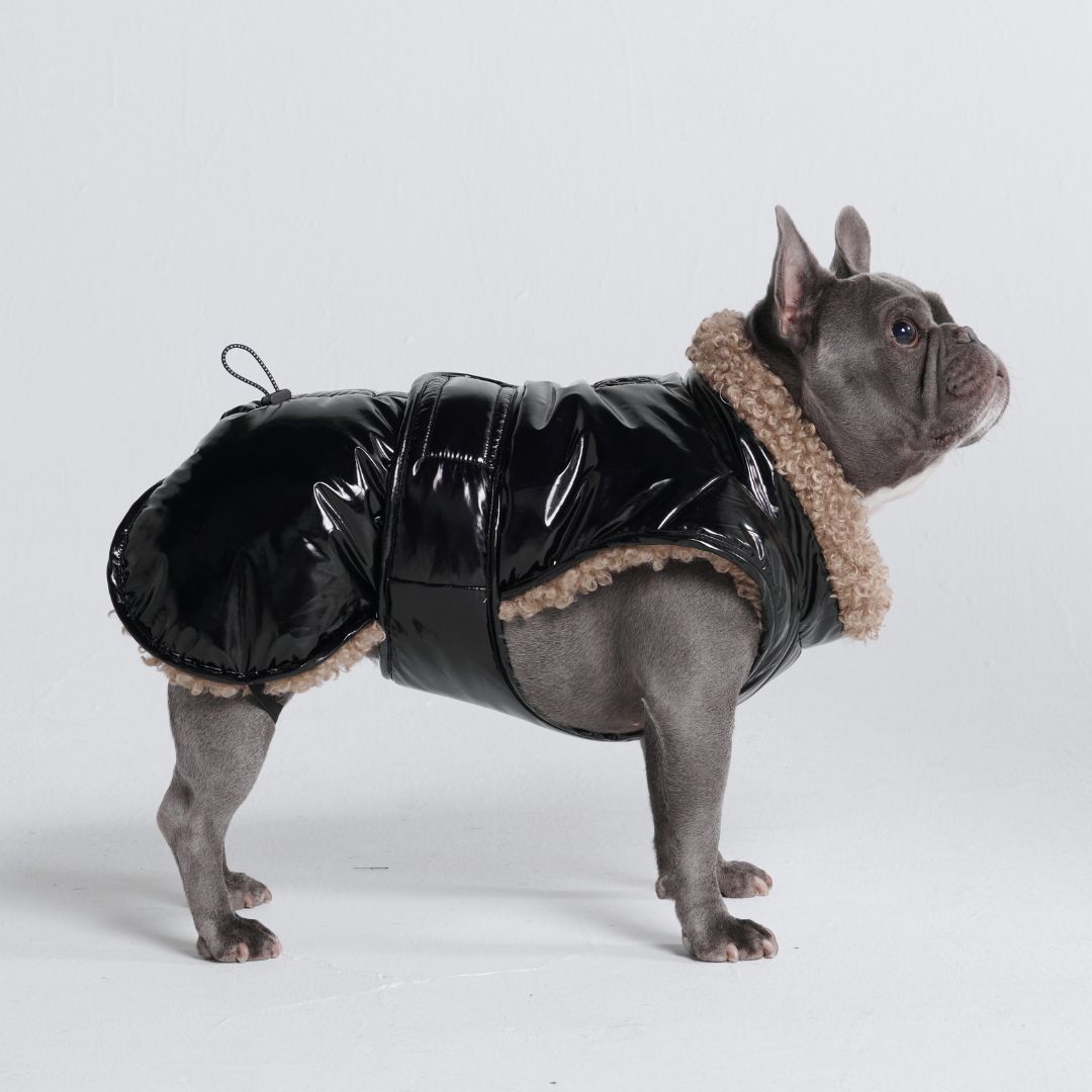 Slip-on Winter Jacket - Gloss Black sold by Spark Paws