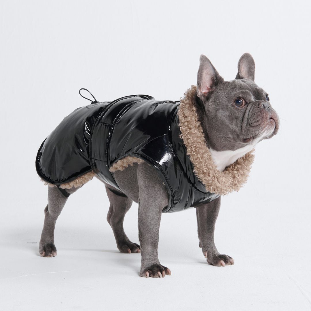 Slip-on Winter Jacket - Gloss Black sold by Spark Paws product image thumbnail 5