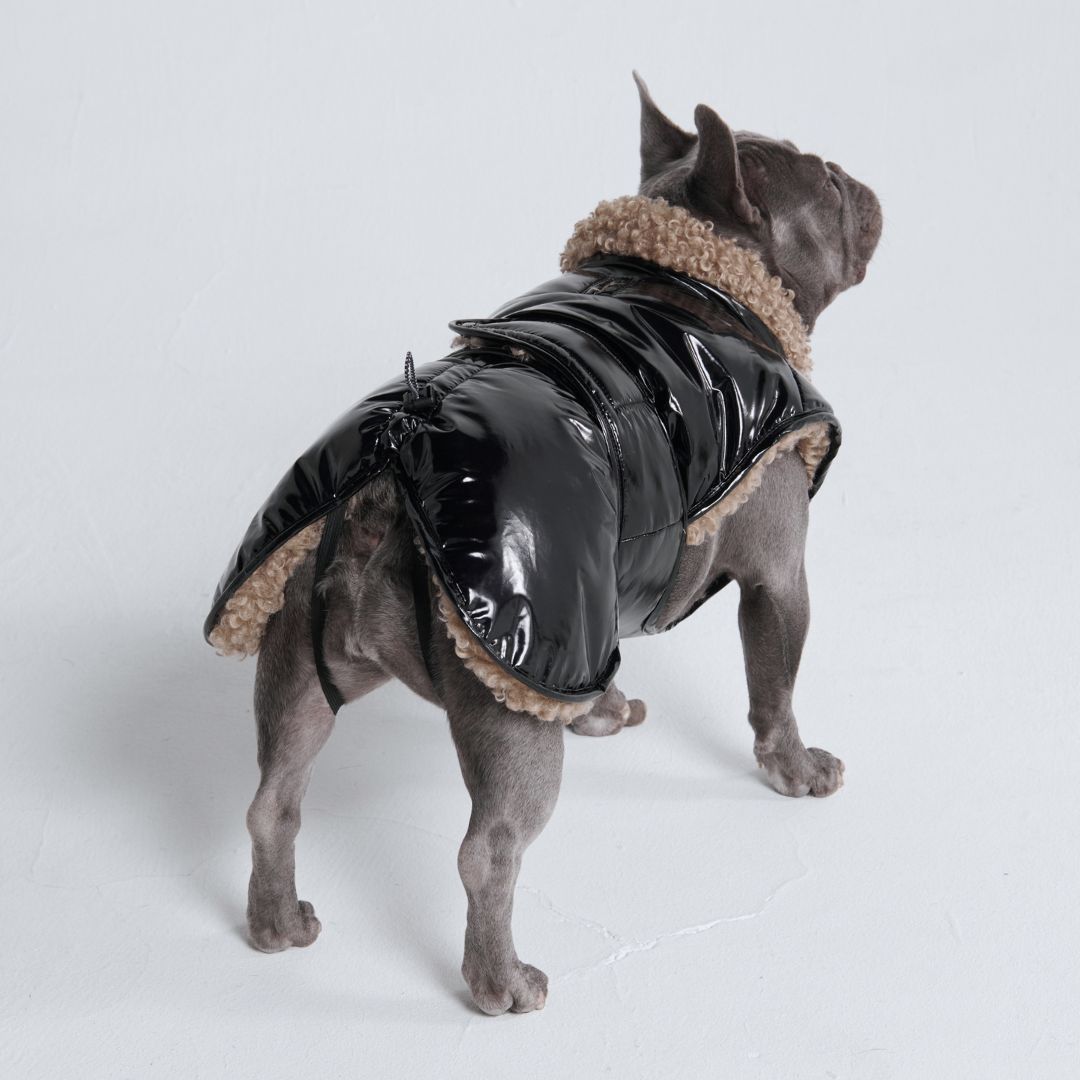 Slip-on Winter Jacket - Gloss Black sold by Spark Paws product image thumbnail 3