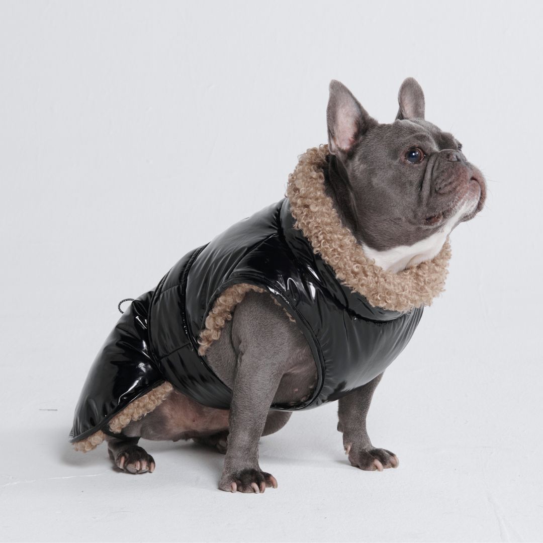 Slip-on Winter Jacket - Gloss Black sold by Spark Paws product image thumbnail 4
