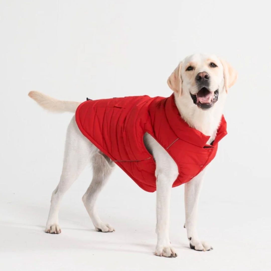 WarmShield Water-Resistant Jacket - Red (SIZE S) sold by Spark Paws