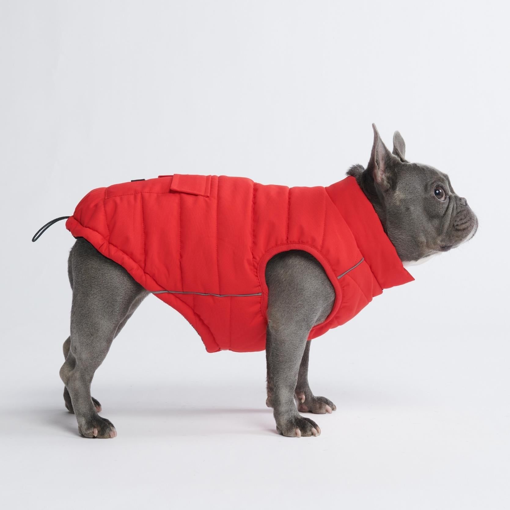 WarmShield Water-Resistant Jacket - Red (SIZE S) sold by Spark Paws product image thumbnail 5