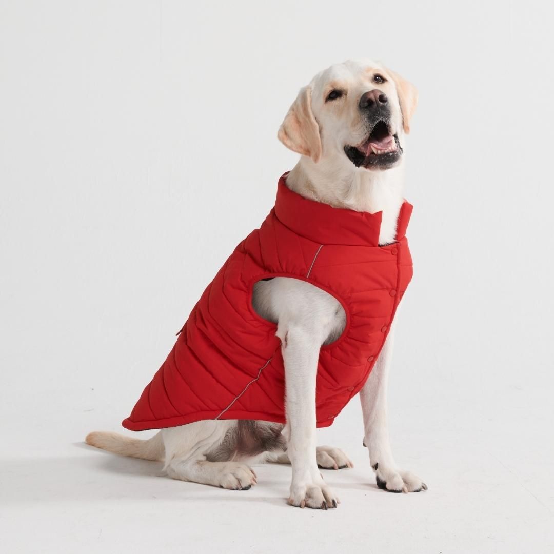WarmShield Water-Resistant Jacket - Red (SIZE S) sold by Spark Paws product image thumbnail 3