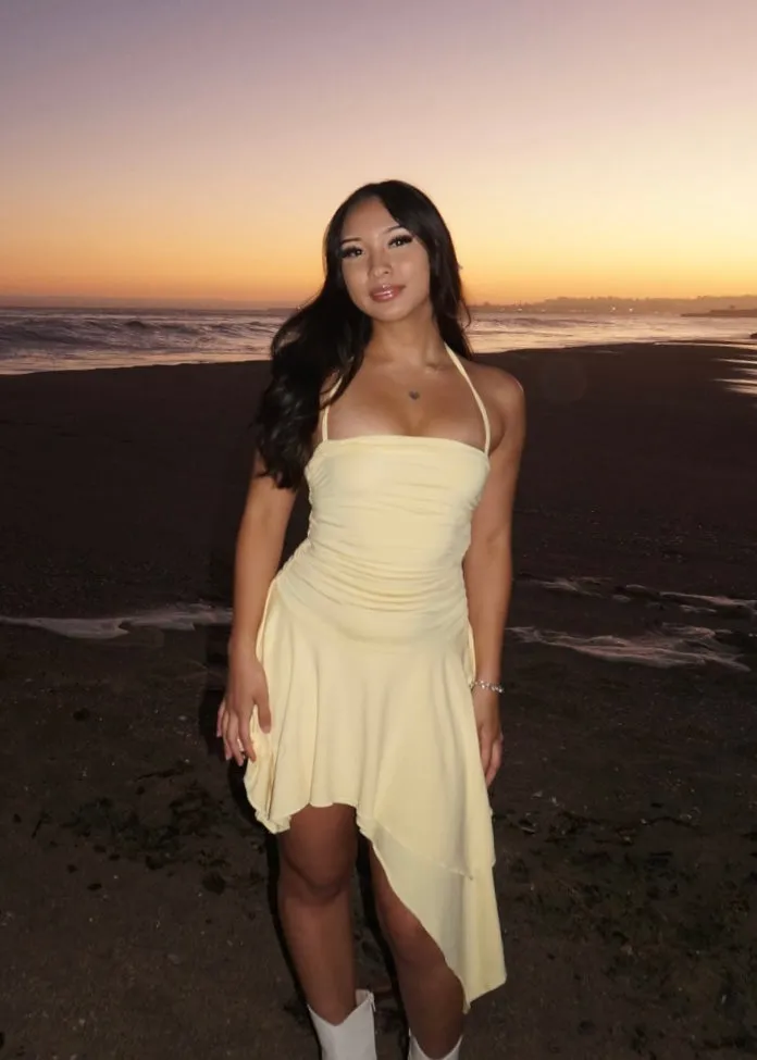 EMILY DRESS sold by Lemon Heaven product image thumbnail 2