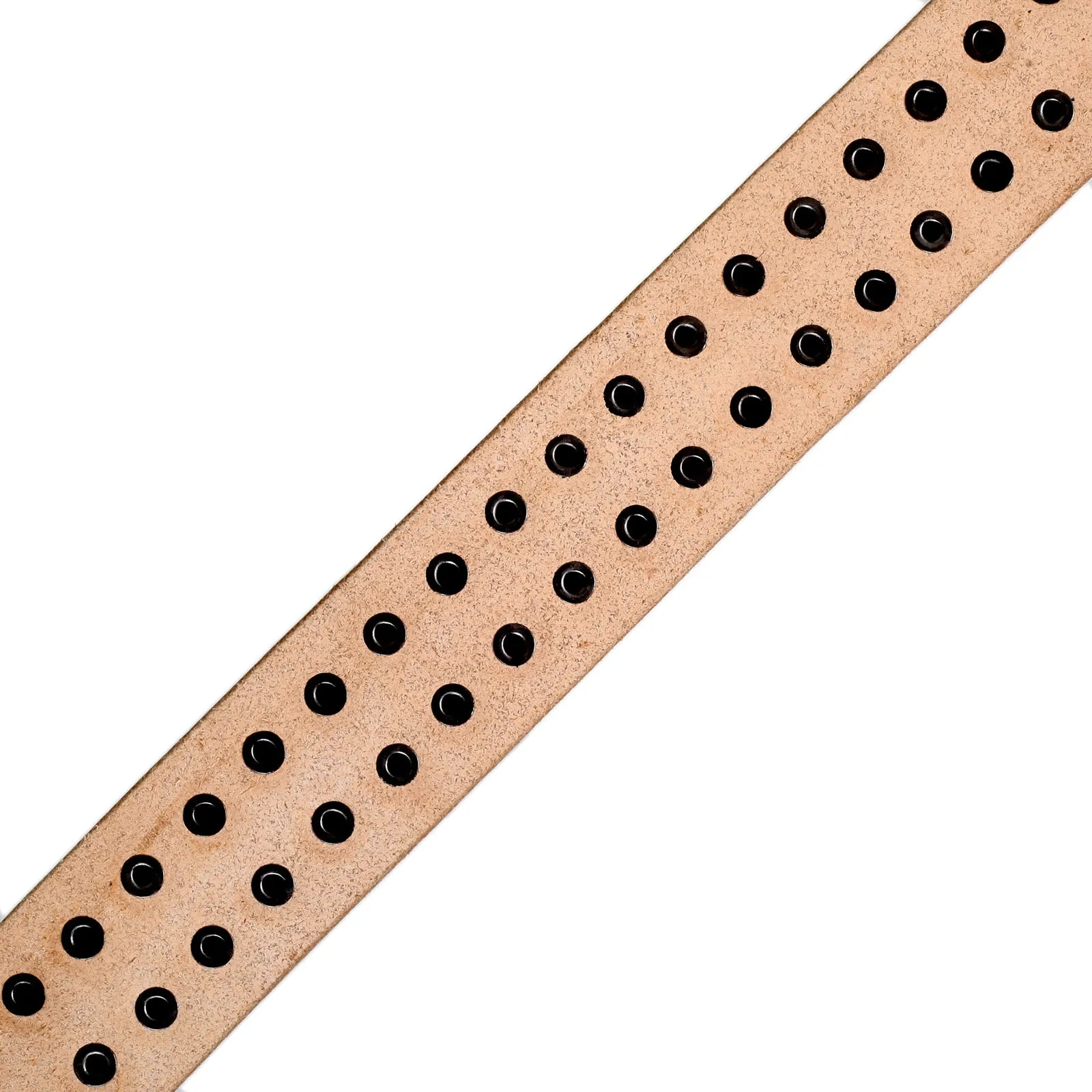 Beige Cowhide SC02322 Leather Garrison Belt with Studs CANE5728 sold by Sugar Cane product image thumbnail 5