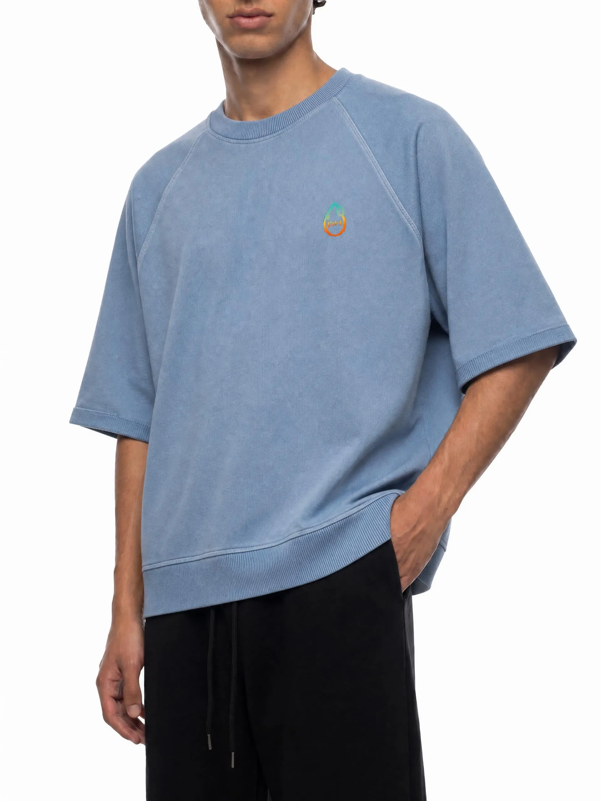 Metamorphosis - Vintage Wash Boxy Short-Sleeve Sweatshirt sold by Phantasmagorical product image thumbnail 5