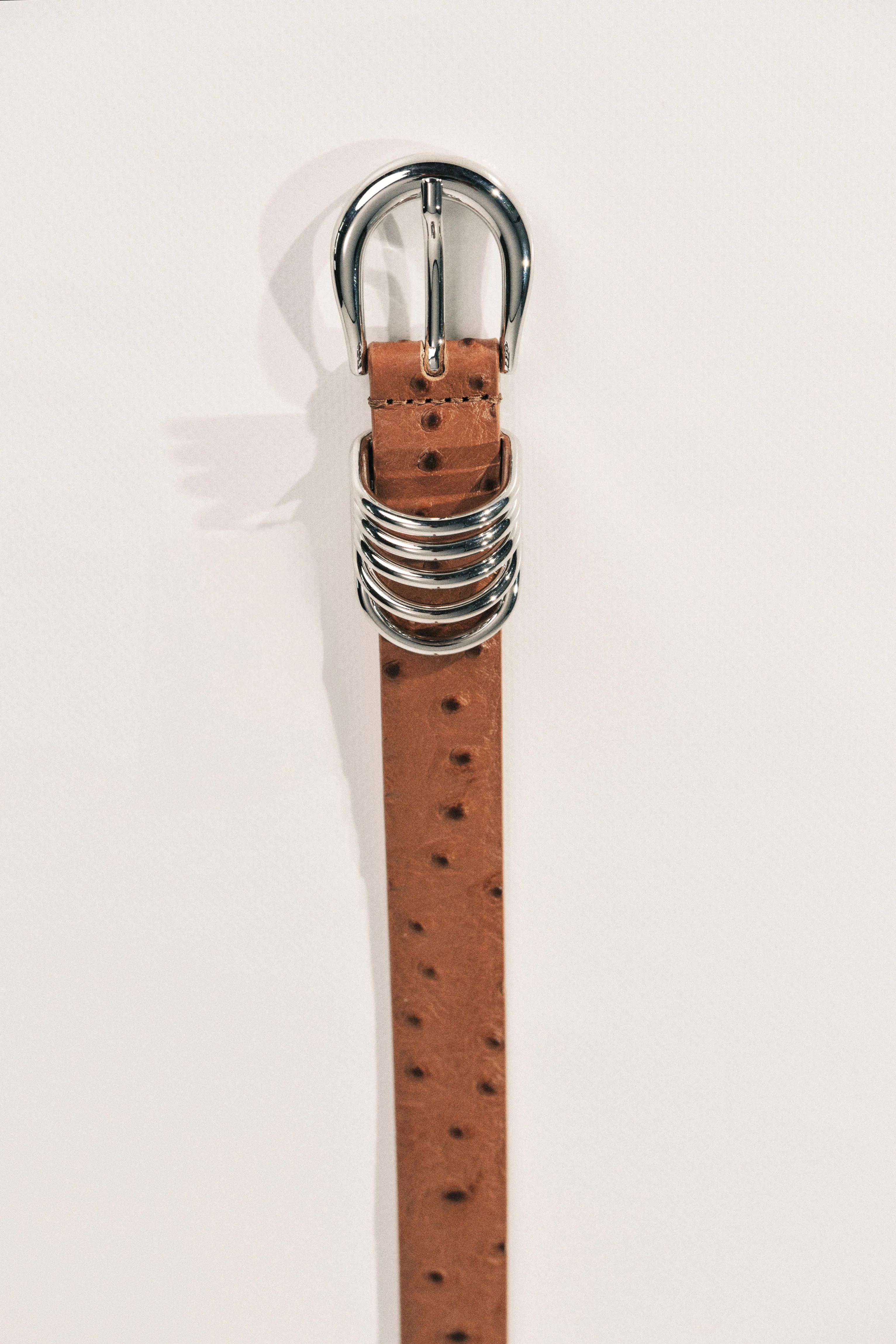 Hollyhock Ostrich sold by Dehanche product image thumbnail 3