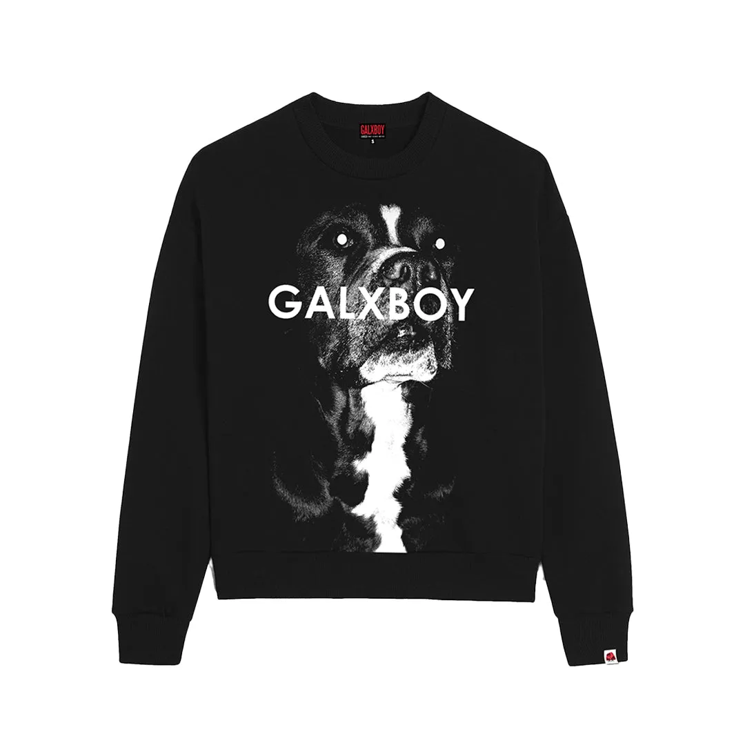 CARROT CREW NECK SWEATER sold by Galxboy