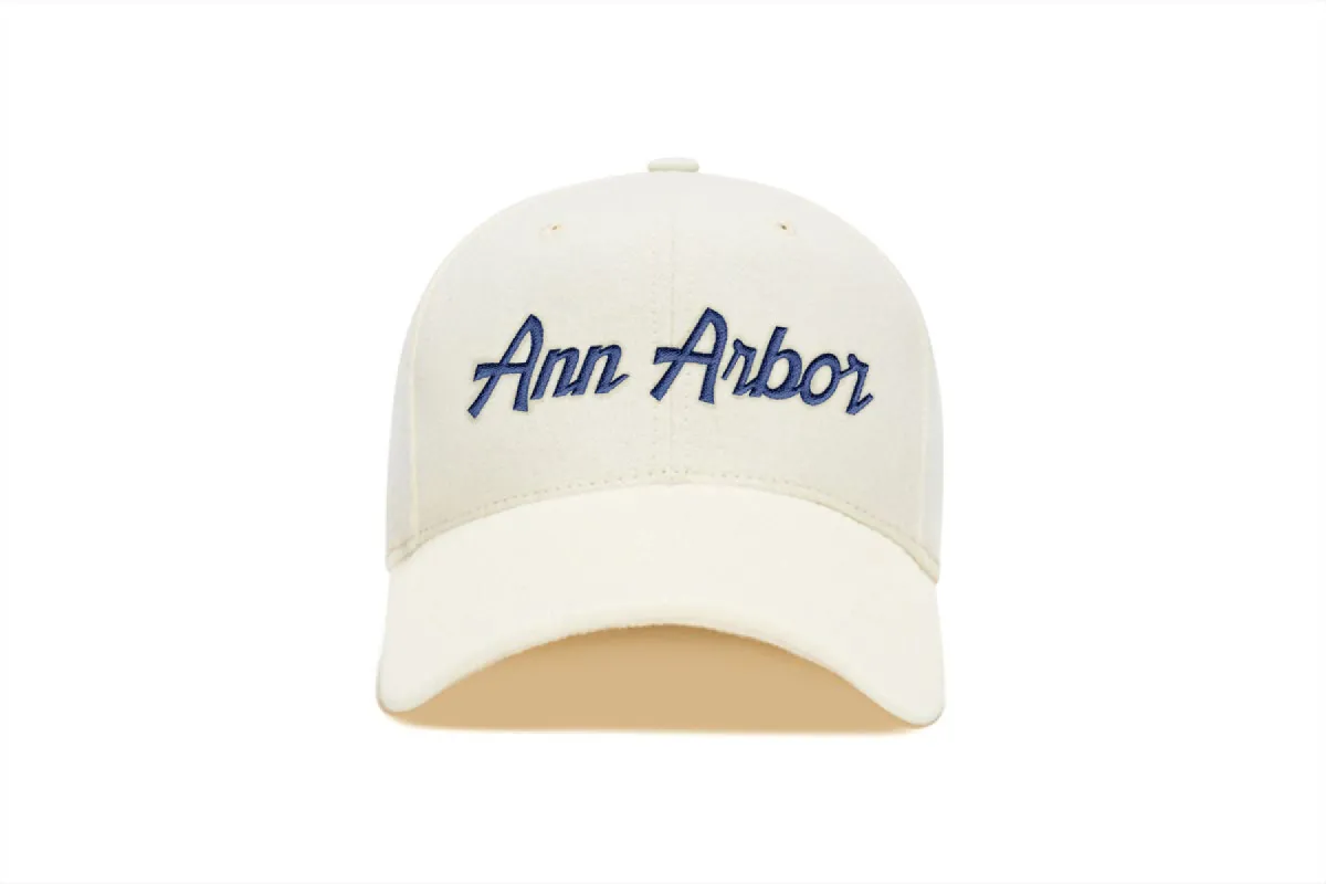 Ann Arbor Chain Snapback Curved sold by Hood Hat