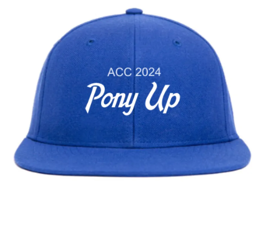 Hat Customizer sold by Hood Hat