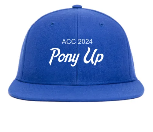 Hat Customizer sold by Hood Hat
