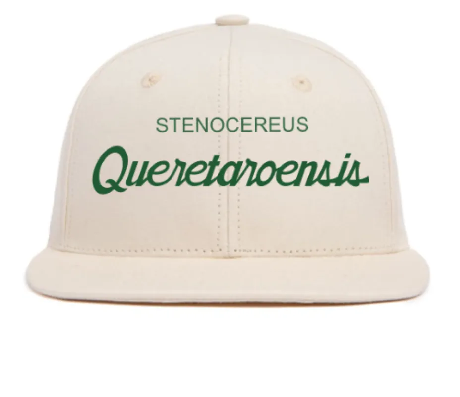 Hat Customizer sold by Hood Hat