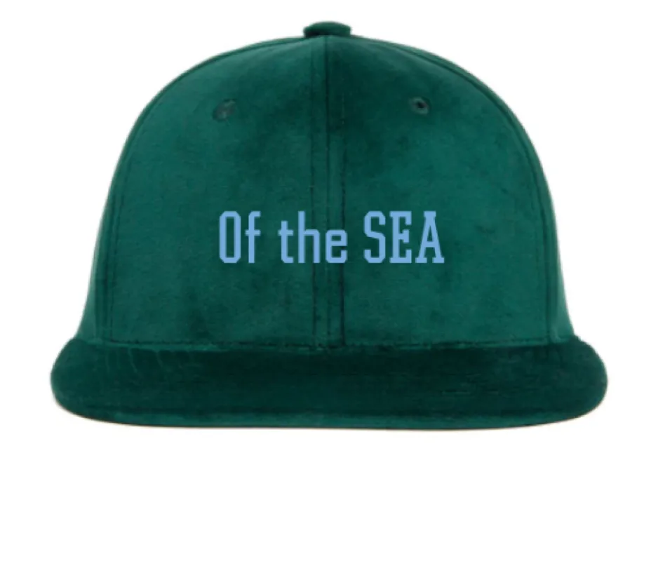 Hat Customizer sold by Hood Hat