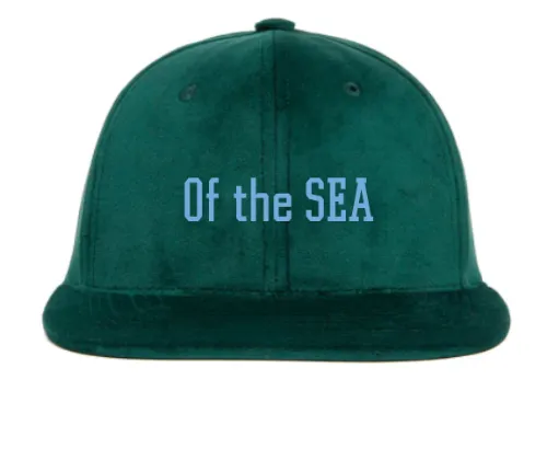 Hat Customizer sold by Hood Hat