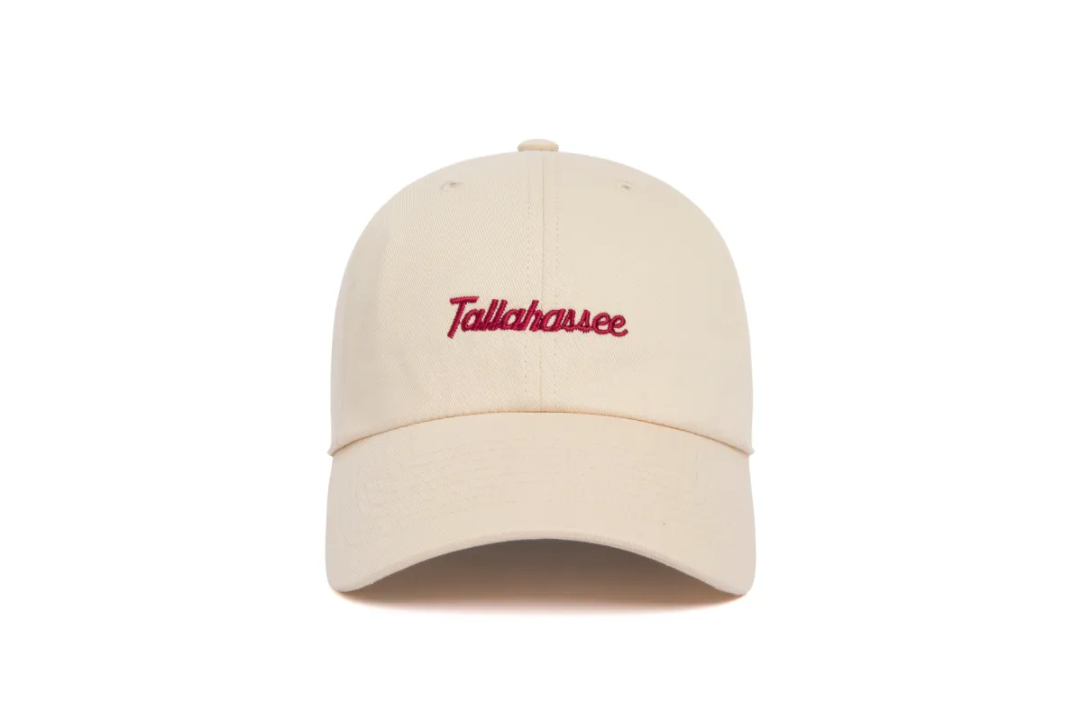 Tallahassee Microscript Dad sold by Hood Hat